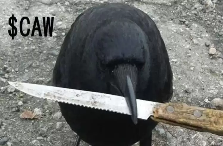 Crow with Knife(CAW币)是什么?未来潜力如何?CAW币价格预测2026-2050