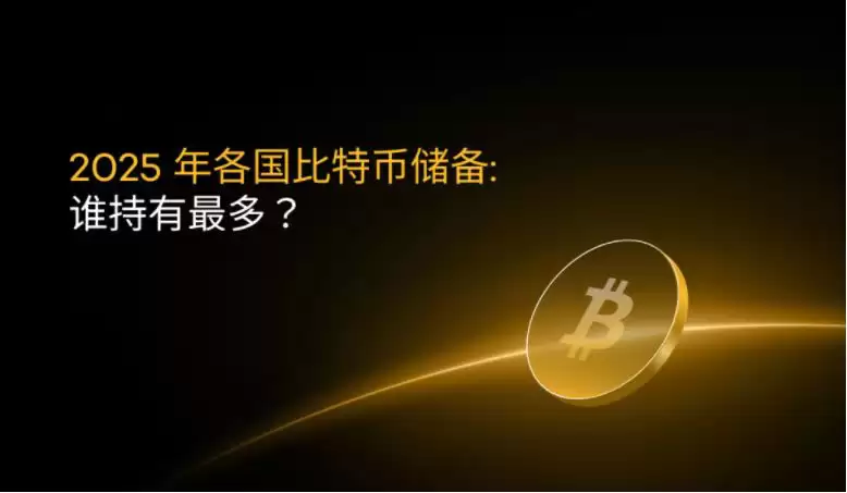 2025年各国比特币储备:谁持有最多？