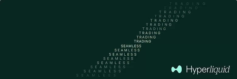 Hyperliquid 交易所介绍:HYPE 币用途、优缺点、项目前景一次看懂!