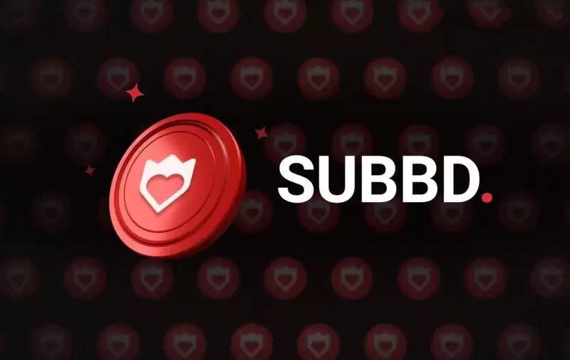 SUBBD($SUBBD币)是什么？值得投资吗？SUBBD代币经济学、路线图及未来价格预测