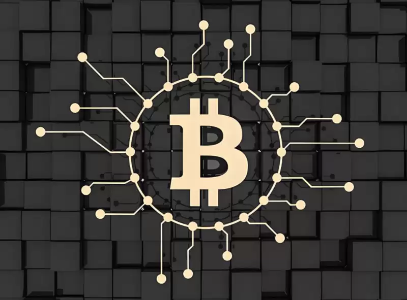 喜讯:150亿美元比特币（BTC）的私钥,让美国歪打正着给破了