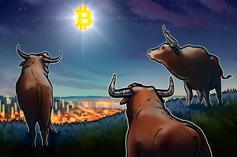 分析师Milk Road Macro称,比特币（BTC）冲击 30 万美元目标