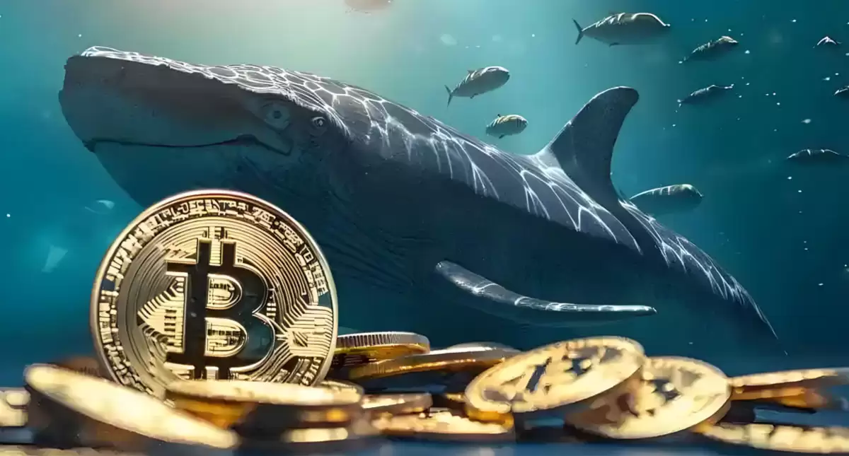 Matrixport市场观察:比特币(BTC)巨鲸出货,以太坊(ETH)持续领涨,资金流向成市场焦点