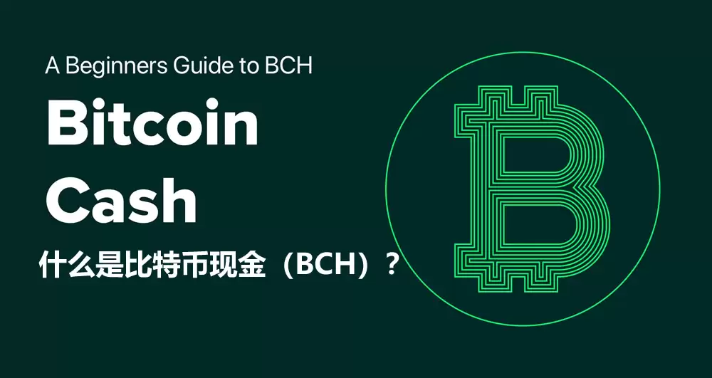 什么是比特币现金（BCH）？如何运作、未来如何？如何购买BCH？