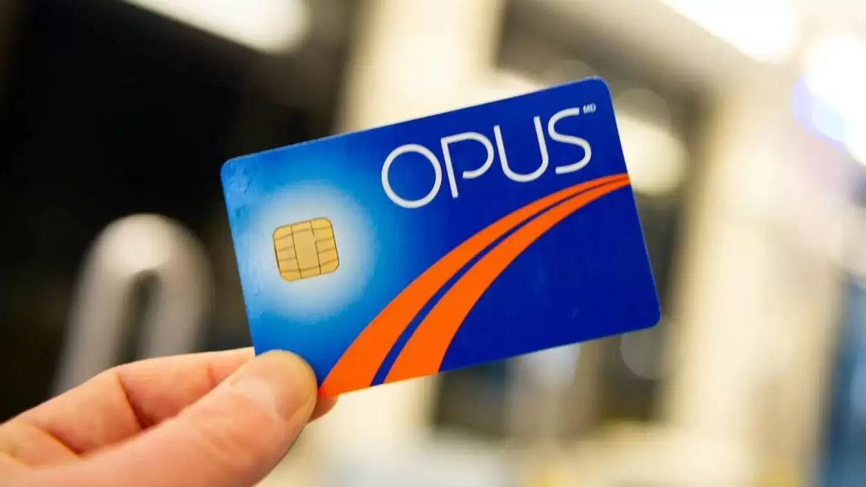 OPUS价格预测:2025、2026-2036年投资建议与风险警示