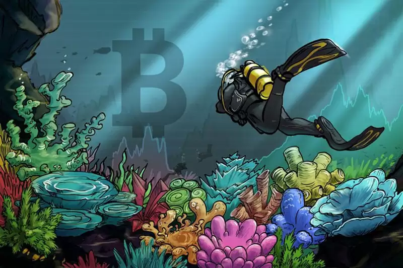 一文了解11月比特币（BTC）价格下跌20%,预计将在