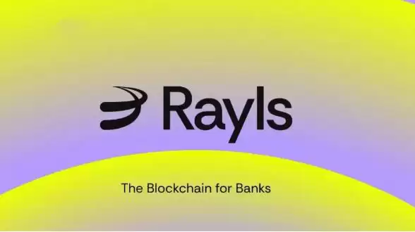 什么是Rayls(RLS)币？怎么样？Rayls代币经济学和主要特点介绍