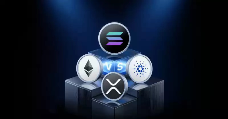 Solana vs 以太坊、XRP和Cardano:完整比较指南