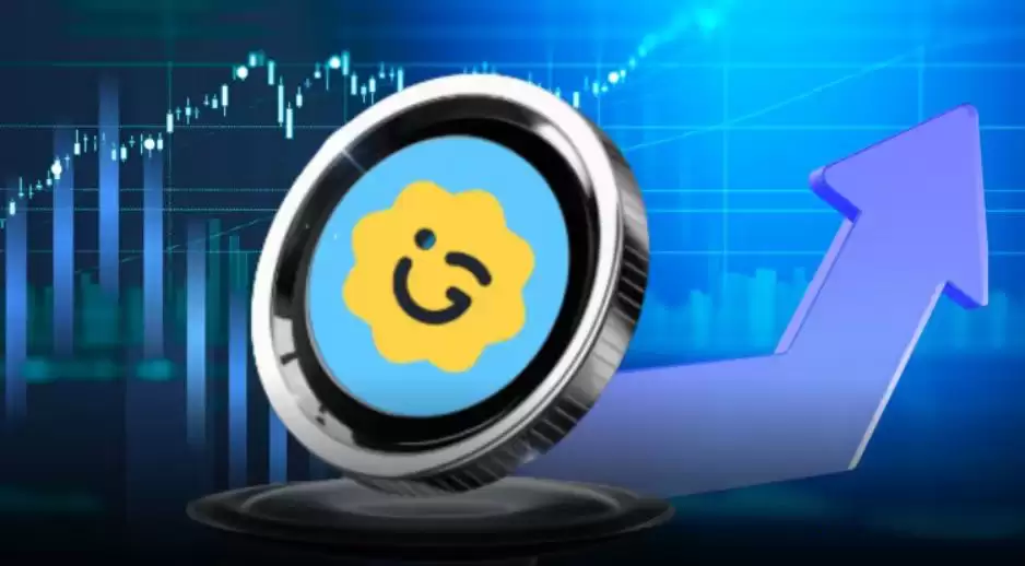 什么是GIGGLE ($GIGGLE)？如何运作？GIGGLE特点、代币经济学及募资信息