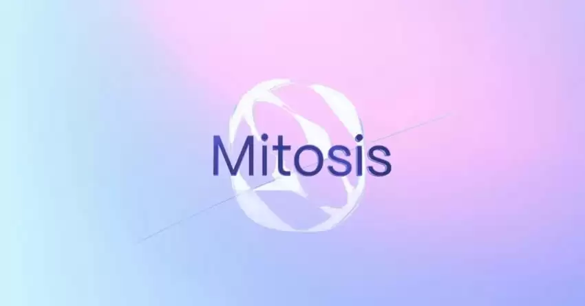 Mitosis(MITO)币空投指南:空投日期及如何参与Mitosis空投步骤