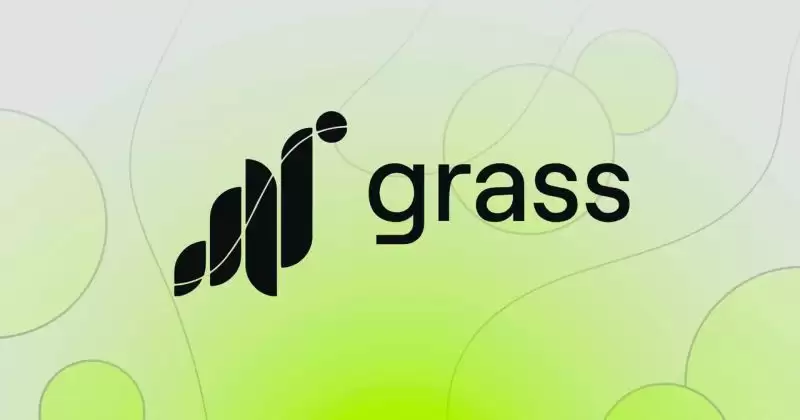 GRASS币怎么样？有投资前景吗？GRASS币未来价格预测