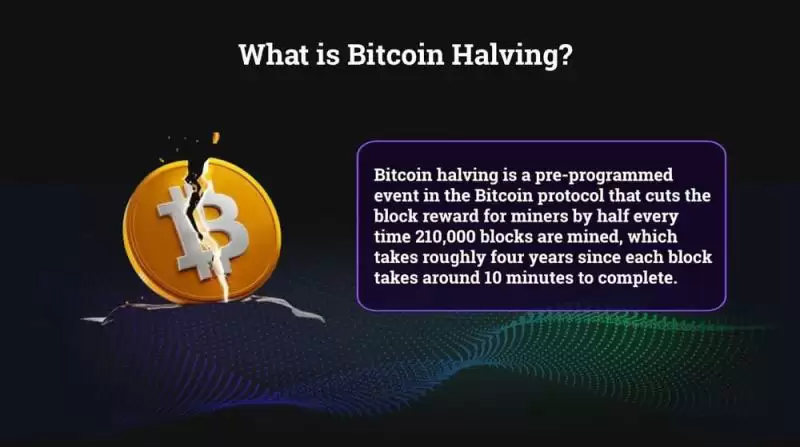 什么是比特币减半？为什么如此重要？关于比特币减半你需要知道的一切