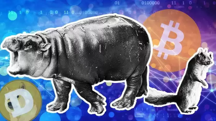 如何选择2026年最佳的Memecoinwallet？2026年最佳Memecoinwallet盘点