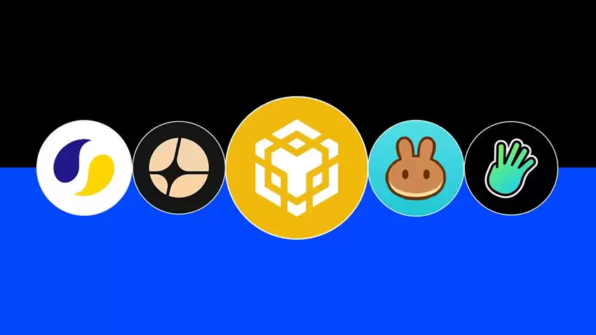 BNB生态有哪些币？热门和市值排名前列的BNB生态代币盘点