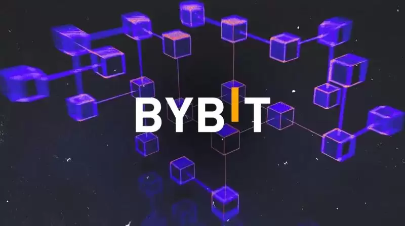 Bybit中国大陆注册及身份认证流程(2026最新):充值/提币/合约教学