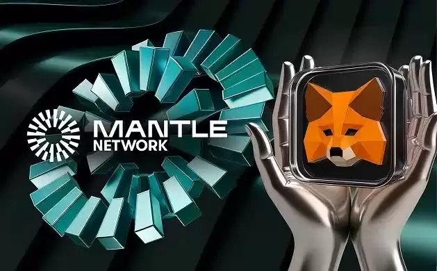 如何将StableChain添加至MetaMask？将StableChain添加至MetaMask的全流程