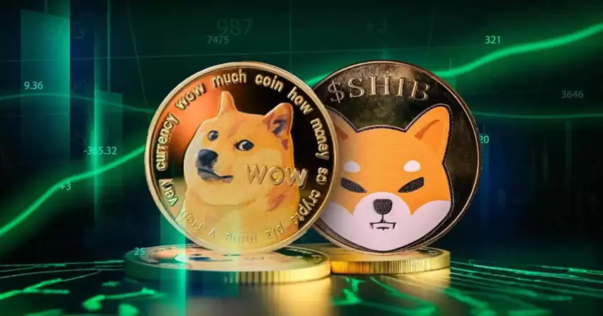 狗狗币（DOGE）和柴犬币（SHIB）哪个适合长期持有投资？