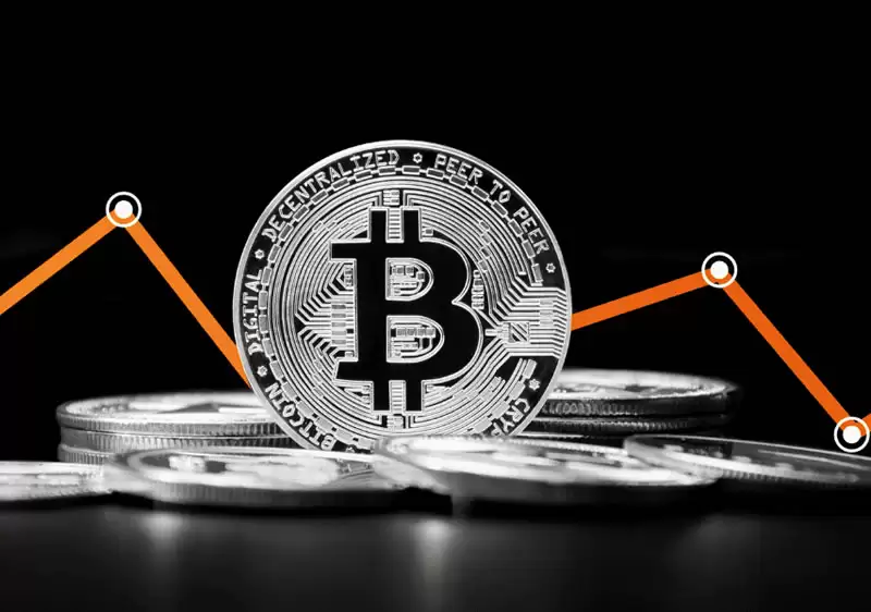 币圈最牛的币翻了几倍？是什么币？未来有潜力的币有哪些？