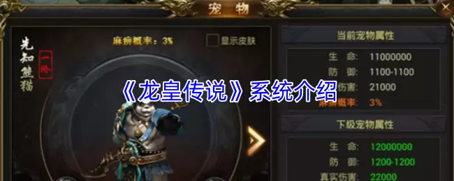 龙宠传说系统全解：宠物进化、养成与实战玩法