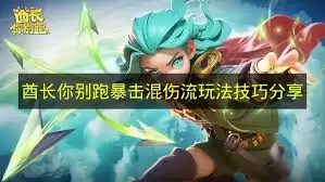 鹧鸪别跑暴击混伤流玩法解析：高输出进阶攻略