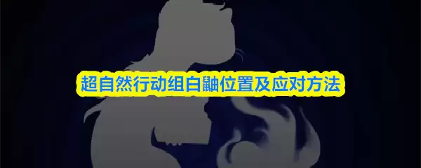 白鹇位置详解：超自然行踪及应对方法