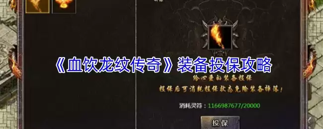 血饮龙纹攻略：装备投保与保值实战指南