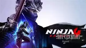 忍者龙剑传4极黑之翼收集品全解及获取指南