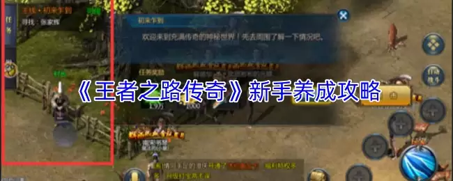 王者之路新手养成攻略：从入门到精通的技巧指南