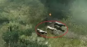 泰坦之旅2消灭怪物保护牛群
