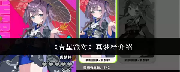 星耀真梦梓：流派介绍、阵容搭配与实战思路