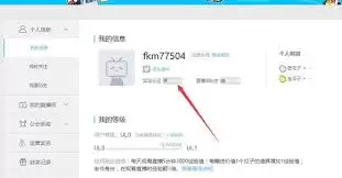 B站实名认证全流程指南：个人与企业认证步骤详解