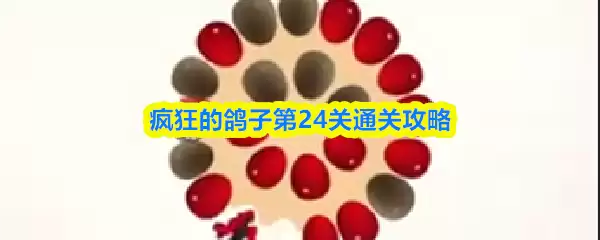 疯狂鸽子第24关攻略：高效通关技巧与全要点解析