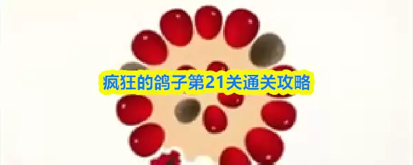 疯狂鸽子第21关攻略：通关技巧与难点解析全掌握