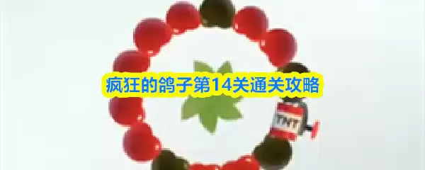 疯狂鸽子第14关攻略：轻松过关的6个关键技巧