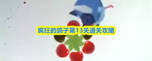 疯狂鸽子第13关攻略详解：三步通关技巧与难点解析