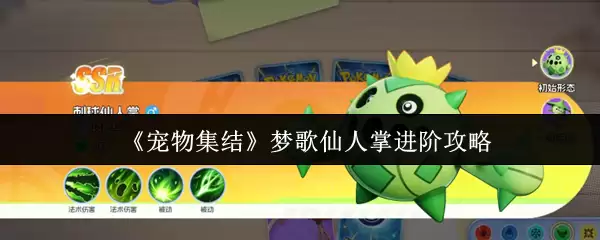 梦歌仙人掌进阶攻略：5步教你宠物集结高效突破