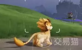 伊莫宠物二选一指南：5个技巧帮你做出明智选择