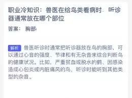 鸟类听诊器使用指南：兽医教你正确放置位置