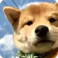 我的世界方可梦之旅