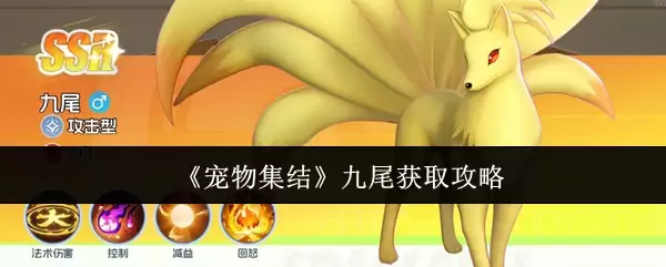 九尾获取全攻略：宠物集结高效解锁方法