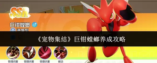 巨型钩盲蛛怎么养？家居饲养全攻略，轻松养成不费心