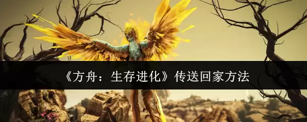 方舟进化如何成功传送回家？实用传送方法解析