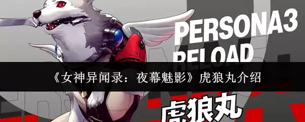 虎狼丸介绍：女神异闻录夜幕魅影中的强力战斗伙伴