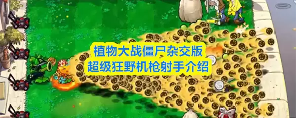 超级狂野机枪射手攻略：植物大战僵尸杂交版实战解析