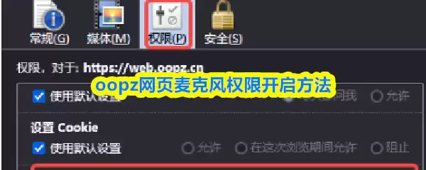 Oopz网页麦克风权限开启指南：3步快速开启方法