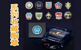 csgo徽章在哪里购买