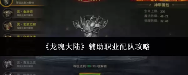 龙魂大陆辅助职业配队攻略：高效组队进阶指南