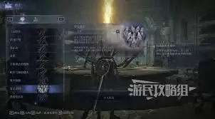 艾尔登法环黑夜君王安定者遗物用法详解