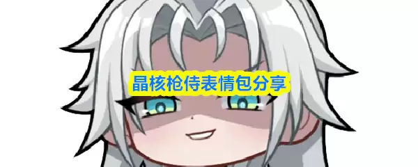 晶核枪侍表情包盘点：热门款与获取方式