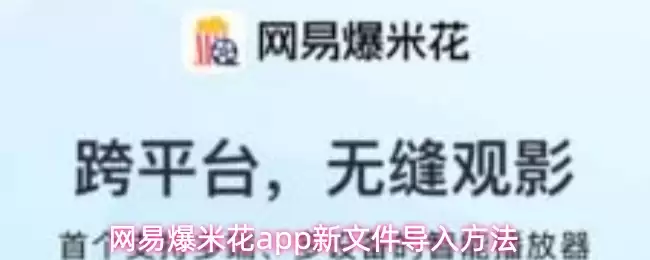网易爆米花App导入新文件教程：3种简单操作方法